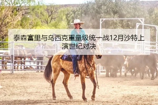 泰森富里与乌西克重量级统一战12月沙特上演世纪对决